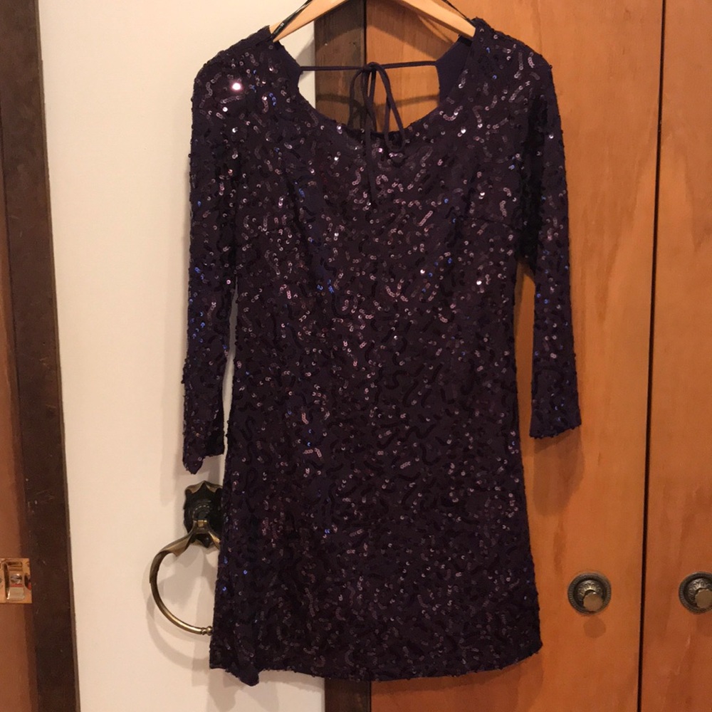 Plum Colored Sequin Dress